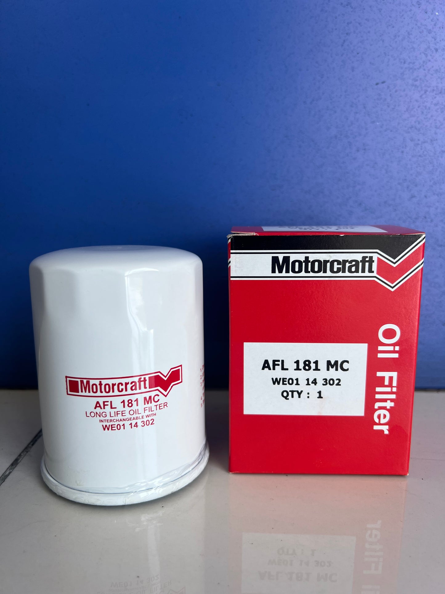 Oil Filter - Everest 2009 to 2013