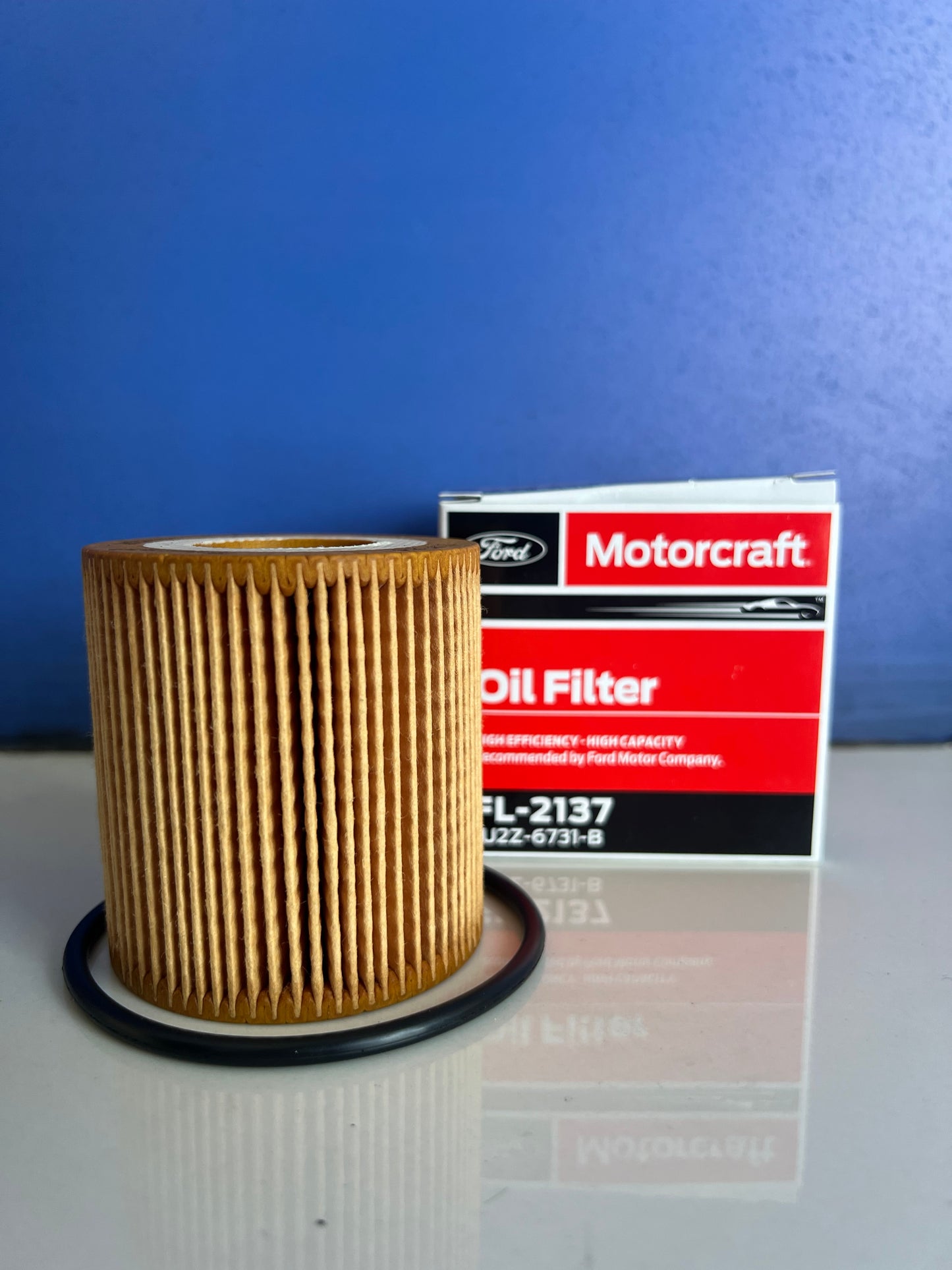 Oil Filter - Ranger/Everest 2015 to 2024