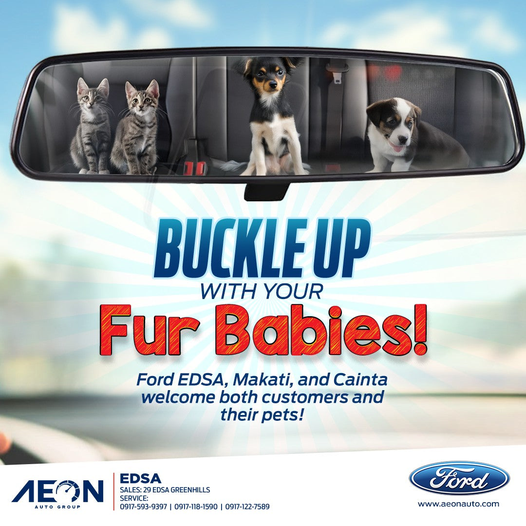 With four wheels and four paws